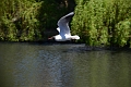 27 05 13_3026_edited-1
